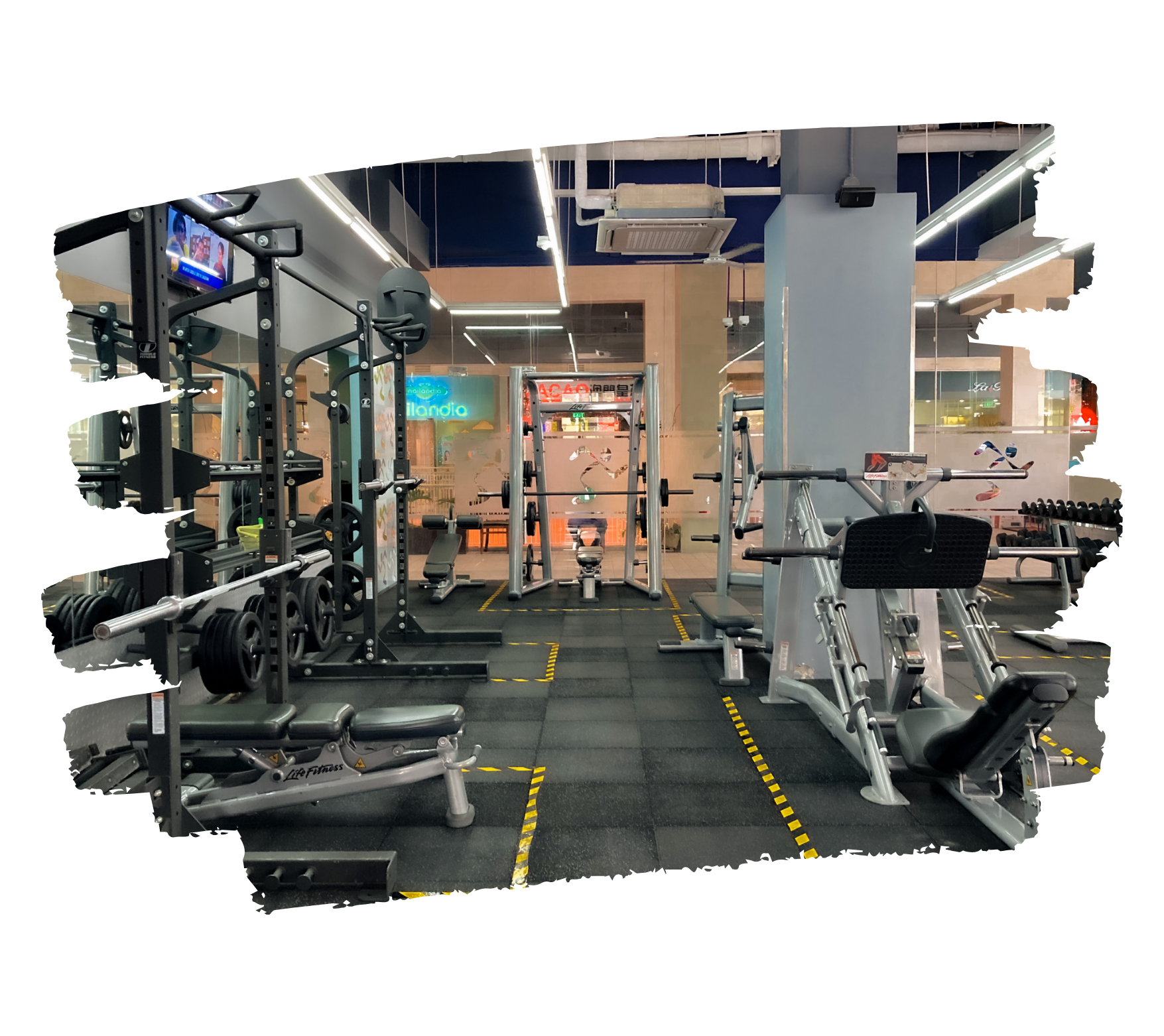 Lead Generation for gym businesses